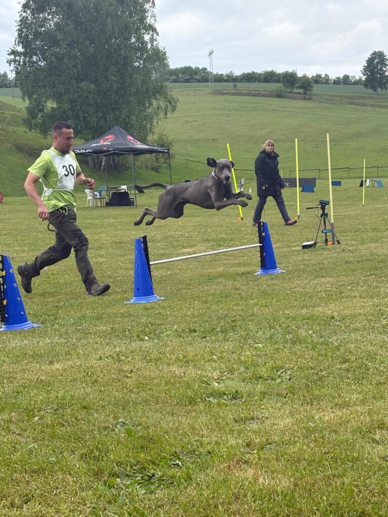 Steven und Manni, Hürdenlauf